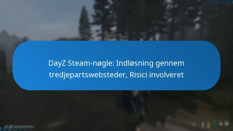 DayZ Steam-nøgle: Indløsning gennem tredjepartswebsteder, Risici involveret