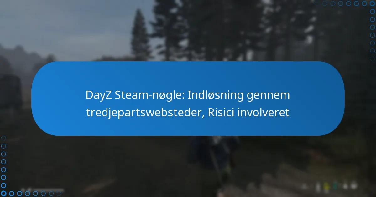 DayZ Steam-nøgle: Indløsning gennem tredjepartswebsteder, Risici involveret