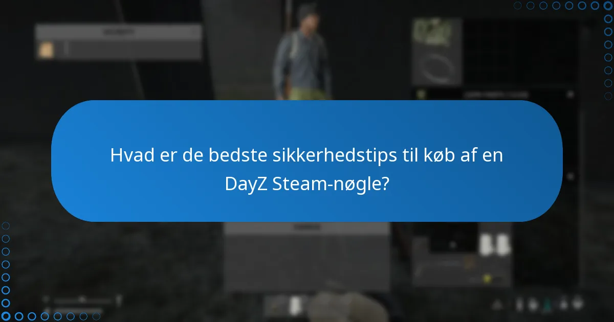 Hvordan kan jeg undgå svindel, når jeg køber en DayZ Steam-nøgle?