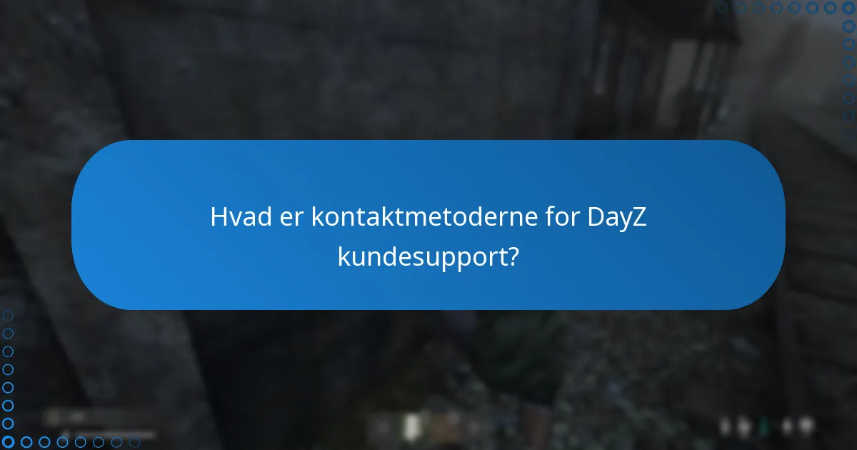 Hvordan kan jeg fejlfinde problemer med indløsning af DayZ DLC-koder?