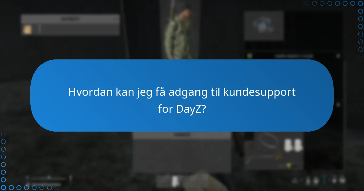 Hvad er risiciene forbundet med at købe en DayZ Steam-nøgle?